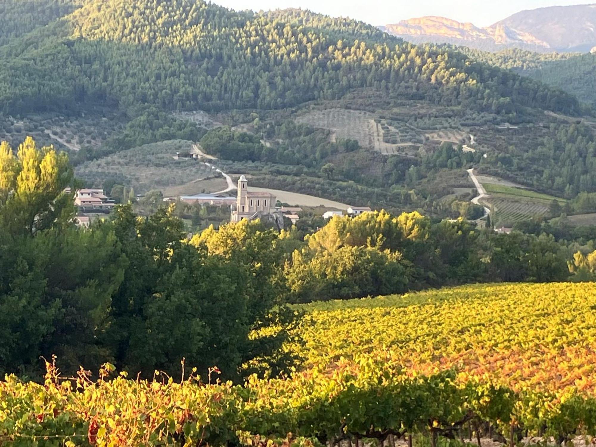 Pierrelongue La Clairiere 빌라 외부 사진