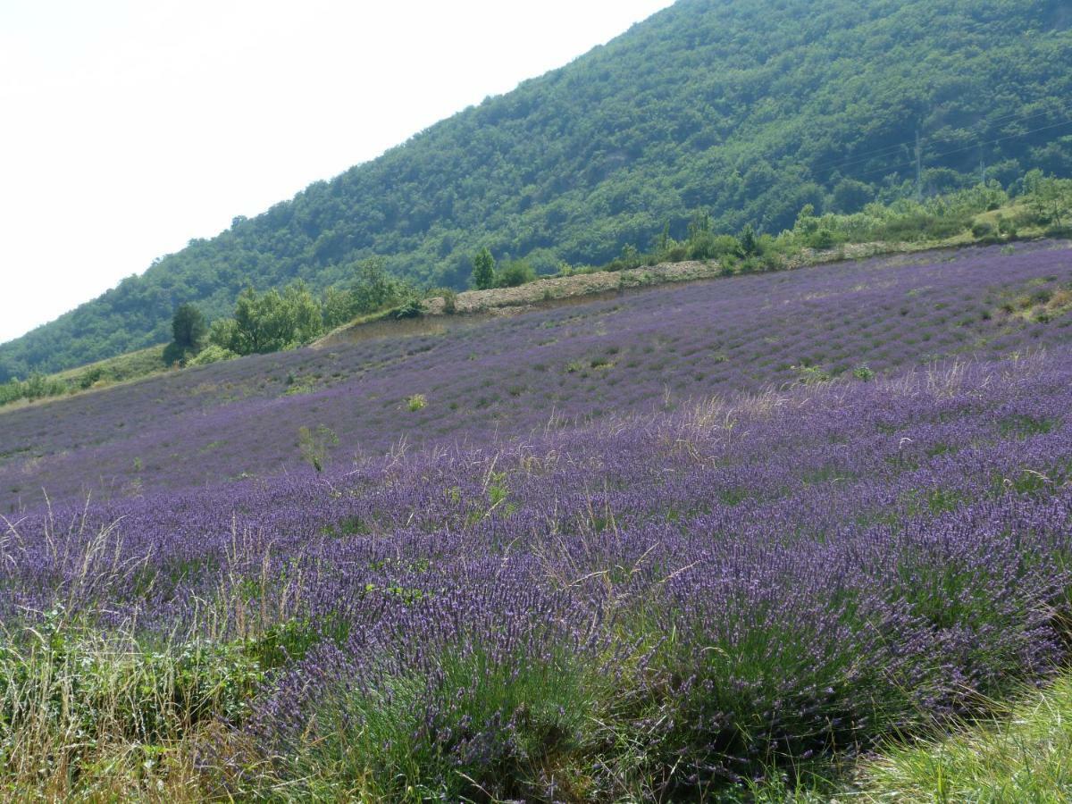 Pierrelongue La Clairiere 빌라 외부 사진